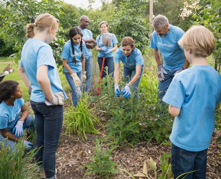 Eco Friendly Clothing Production and Ecosystems